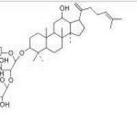 人参皂苷Rk1494753-69-4价格