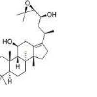 泽泻醇B18649-93-9包装