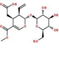 幼枝含断氧化马钱子苷58822-47-2折扣