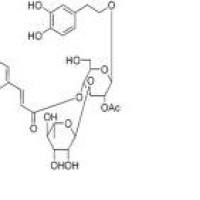 2'-乙酰毛蕊花糖苷94492-24-7厂家