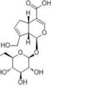 京尼平苷酸27741-01-1厂家