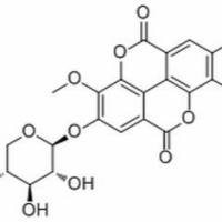 62218-23-9/3-O-Methylducheside A ,分析标准品,HPLC≥98%