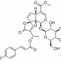 80416-52-0, 13-O-p-Coumaroylplumieride , 分析标准品,HPLC≥98%