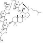 人参皂苷Ra283459-42-1包装