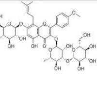 朝藿定A1140147-77-9折扣