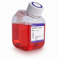 LIFE 10888-022 Neurobasal-A Medium (1X), Liquid, 