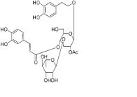2'-乙酰毛蕊花糖苷94492-24-7厂家