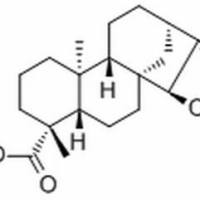 6619-95-0.	 Deacetylxylopic acid ,	分析标准品,HPLC≥98%