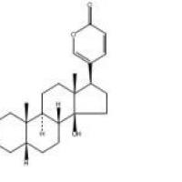 蟾毒灵465-21-4折扣
