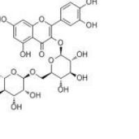 芦丁、芸香苷153-18-4价格