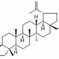 84414-40-4.	 23-Hydroxybetulin ,	分析标准品,HPLC≥98%