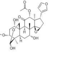 川楝素58812-37-6包装