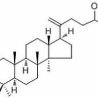 55050-69-6. Dammar-20(21)-ene-3β,24,25-triol . 分析标准品,HPLC≥98%
