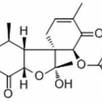 486430-93-7.	 O-Acetylcyclocalopin A ,	分析标准品,HPLC≥98%