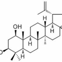 29028-10-2/ 3-Epiglochidiol , 分析标准品,HPLC≥98%