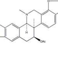 乙酰紫堇灵18797-80-3厂家