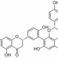48236-96-0. Tetrahydroamentoflavone Fifan 分析标准品,HPLC≥98%