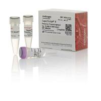 LIFE 18064-014 18064-014 SuperScript II反转