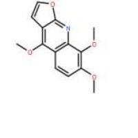 茵芋碱83-95-4包装
