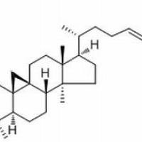 17983-82-3.27-Hydroxymangiferolic acid ,	分析标准品,HPLC≥98%