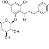 根皮苷7061-54-3包装