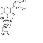槲皮素-3-O-β-D-吡喃葡糖苷酸22688-79-5价格
