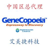 miProfile人类免疫病理miRNA qPCR芯片（1套）/miProfile人类免疫病理miRNA qPCR芯片（1套）/miProfile人类免疫病理miRNA qPCR芯片（1套）
