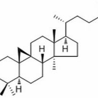 1449-09-8/24-Methylenecycloartan-3-ol ,分析标准品,HPLC≥92%