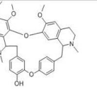 小檗胺478-61-5包装