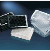 Thermo Scientific™ Thermo Scientific™ 白色 96 孔 Immuno 板