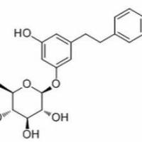 100432-87-9.	 Dihydroresveratrol 3-O-glucoside ,分析标准品,HPLC≥98%