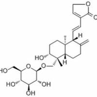141973-41-3.	 14-Deoxy-11,12-didehydroandrographiside ,	分析标准品,HPLC≥98%