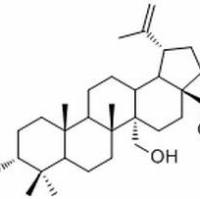 263844-80-0,3-Acetoxy-27-hydroxy-20(29)-lupen-28-oic acid methyl ester ,	分析标准品,HPLC≥98%