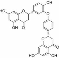 678138-59-5.	 2,3,2",3"-Tetrahydroochnaflavone ,	分析标准品,HPLC≥98%