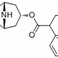 4684-28-0.	 Norscopolamine ,分析标准品,HPLC≥98%