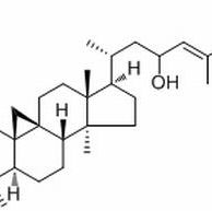 232266-08-9.	 23-Hydroxymangiferonic acid /分析标准品,HPLC≥98%