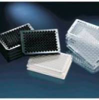 Thermo Scientific™ 白色 96 孔 Immuno 板