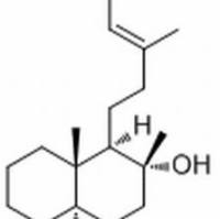 10267-31-9/	 Labd-13-ene-8,15-diol ,分析标准品,HPLC≥98%