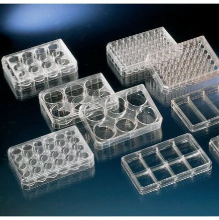 Thermo Scientific™ Thermo Scientific™ Nunc™ 经细胞培养处理的多孔皿
