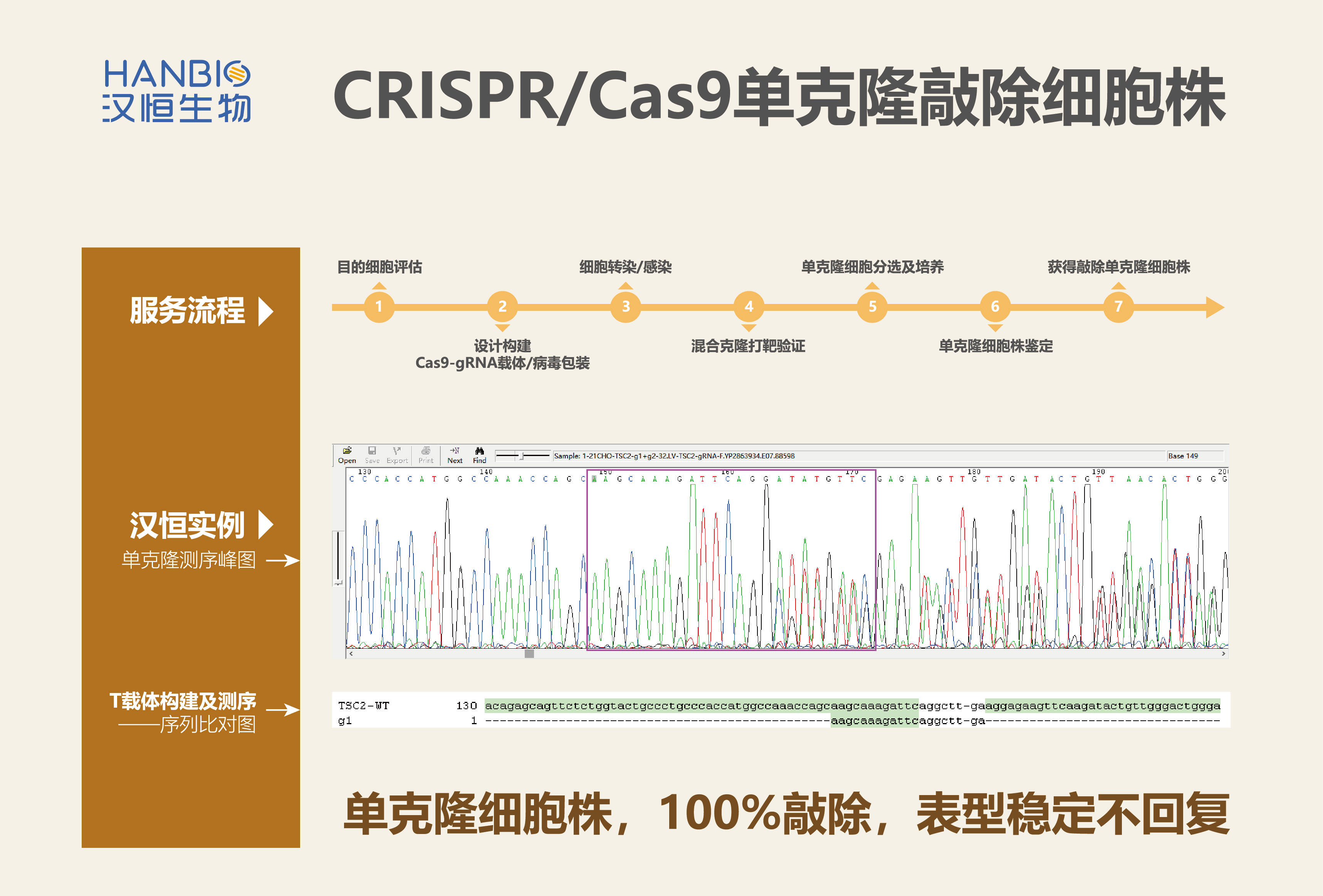 【经验总结】构建CRISPR/Cas9单克隆敲除细胞株