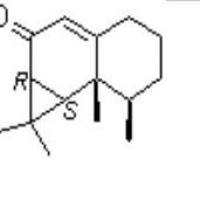 马兜铃酮25274-27-5包装
