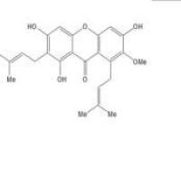 α-倒捻子素、α-曼果斯廷6147/11/1折扣