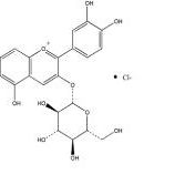矢车菊素-3-O-葡萄糖苷7084-24-4厂家