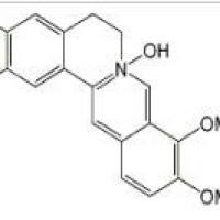 掌叶防己碱3486-67-7厂家