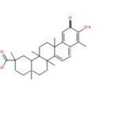 扁塑藤素1258-84-0厂家