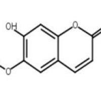 东莨菪内酯、莨菪亭、7-羟基-6-甲氧基香豆素92-61-5价格