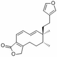 349534-73-2/	 Dodonolide ,	分析标准品,HPLC≥98%