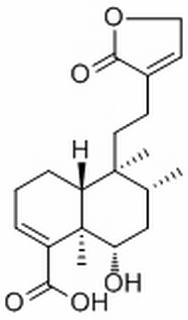 产品细节图片1