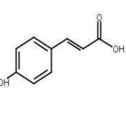 对羟基肉桂酸、4-羟基肉桂酸7400-08-0包装