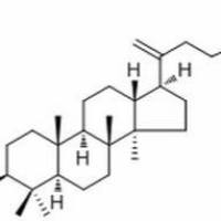143519-04-4/	 3-Acetoxy-24-hydroxydammara-20,25-diene ,分析标准品,HPLC≥98%